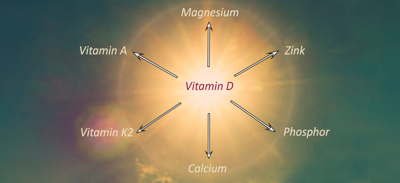 Cofacteurs vitamine D